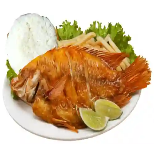 Mojarra