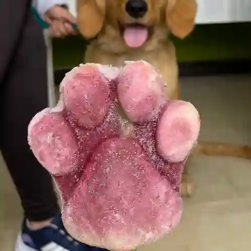Paleta para Macotas