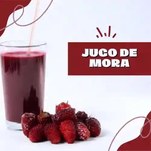 Jugo Natrural de Mora 14Onz