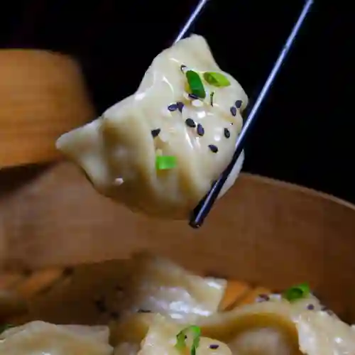 Dumplings X21 Unidades