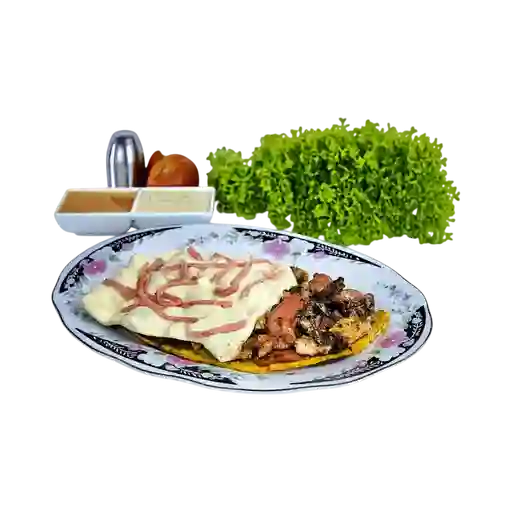 Patacón Leo