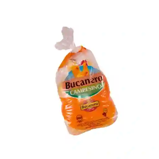 Bucanero Gallinagigante