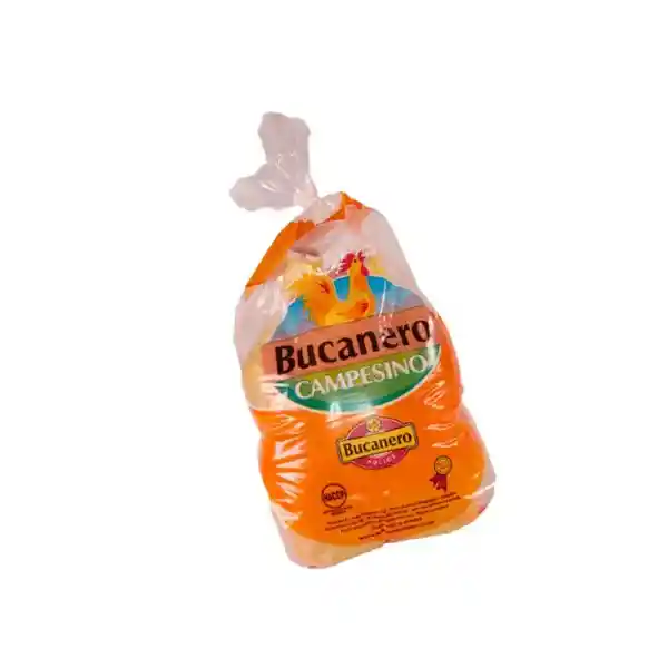 Bucanero Gallinagigante