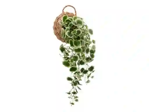 Maceta Fibra Planta Colgante Casaideas