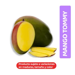 Mango Tommy Seleccionado