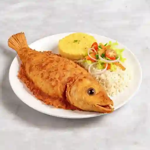 Bocachico Frito