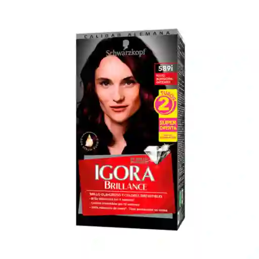 Igora Tinte Brillance Rojo Borgoña Intenso 589I 100 mL