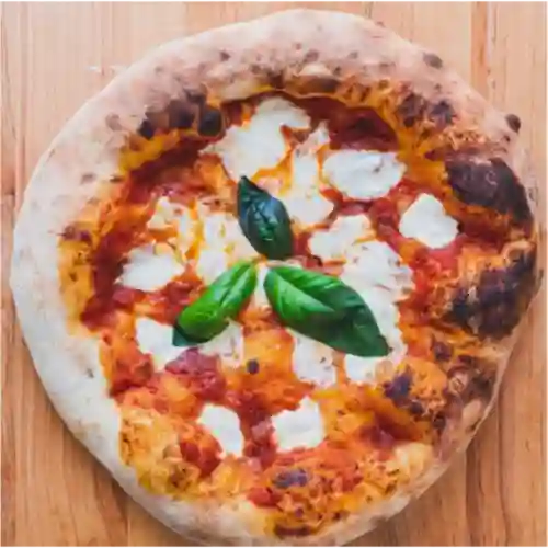 Pizza Margherita