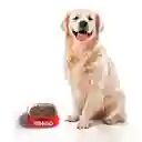 Ringo Alimento Perro Adulto
