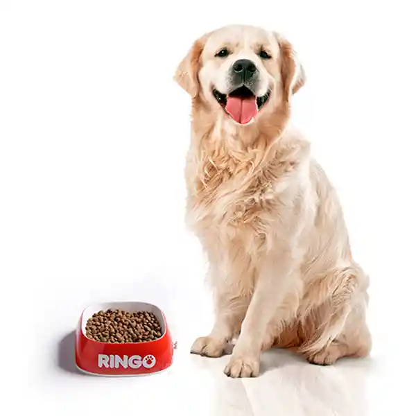 Ringo Alimento Perro Adulto