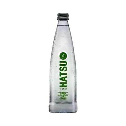 Agua con gas 300ml