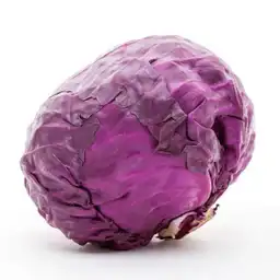 Repollo Morado