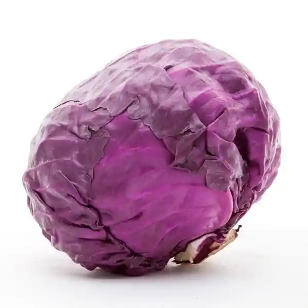 Repollo Morado