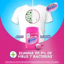 Vanish Desmanchador en Polvo Oxi Action