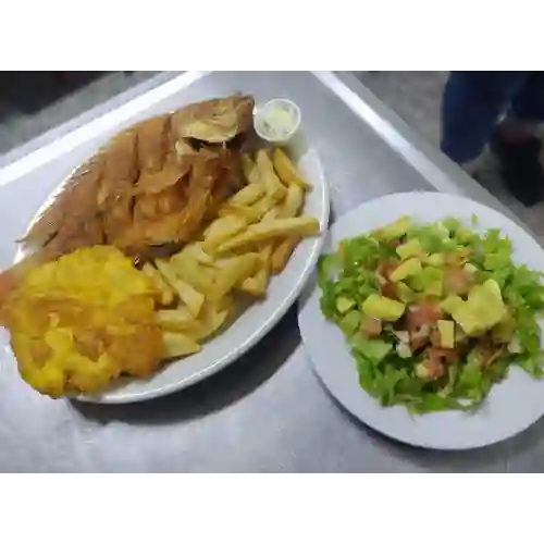 Tilapia