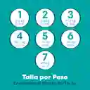 Pañales Pampers Baby Dry Etapa 7 54 U​nd