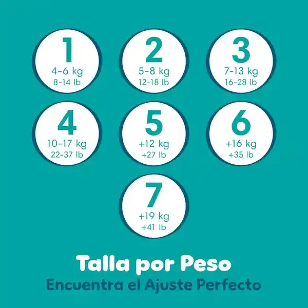 Pañales Pampers Baby Dry Etapa 7 54 U​nd