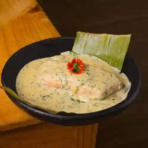 Salmon