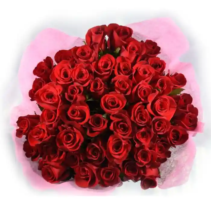 Rosas 40 Cm X 48 Tallos Rosado