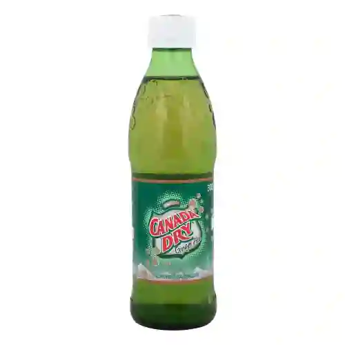 Canada Dry 300Ml