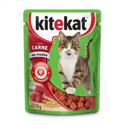 Kitekat Alimento Húmedo para Gato sabor Carne