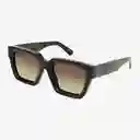 Johnny Fly Gafas Fame Negro Lente Café