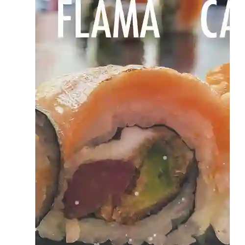 Flama Roll