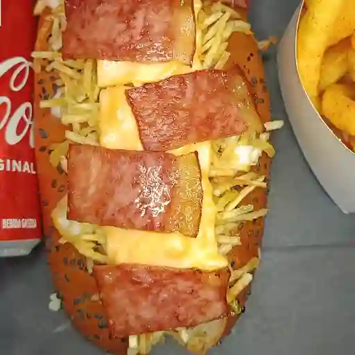 Perro de la casa