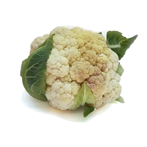 Coliflor