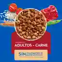 Cat Chow Alimento para Gatos Adultos 1-7 años Activos Carne