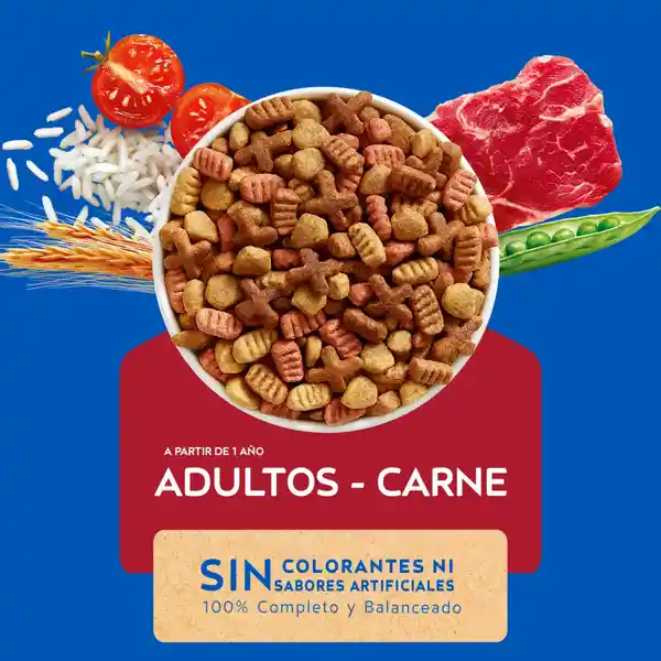 Cat Chow Alimento para Gatos Adultos 1-7 años Activos Carne