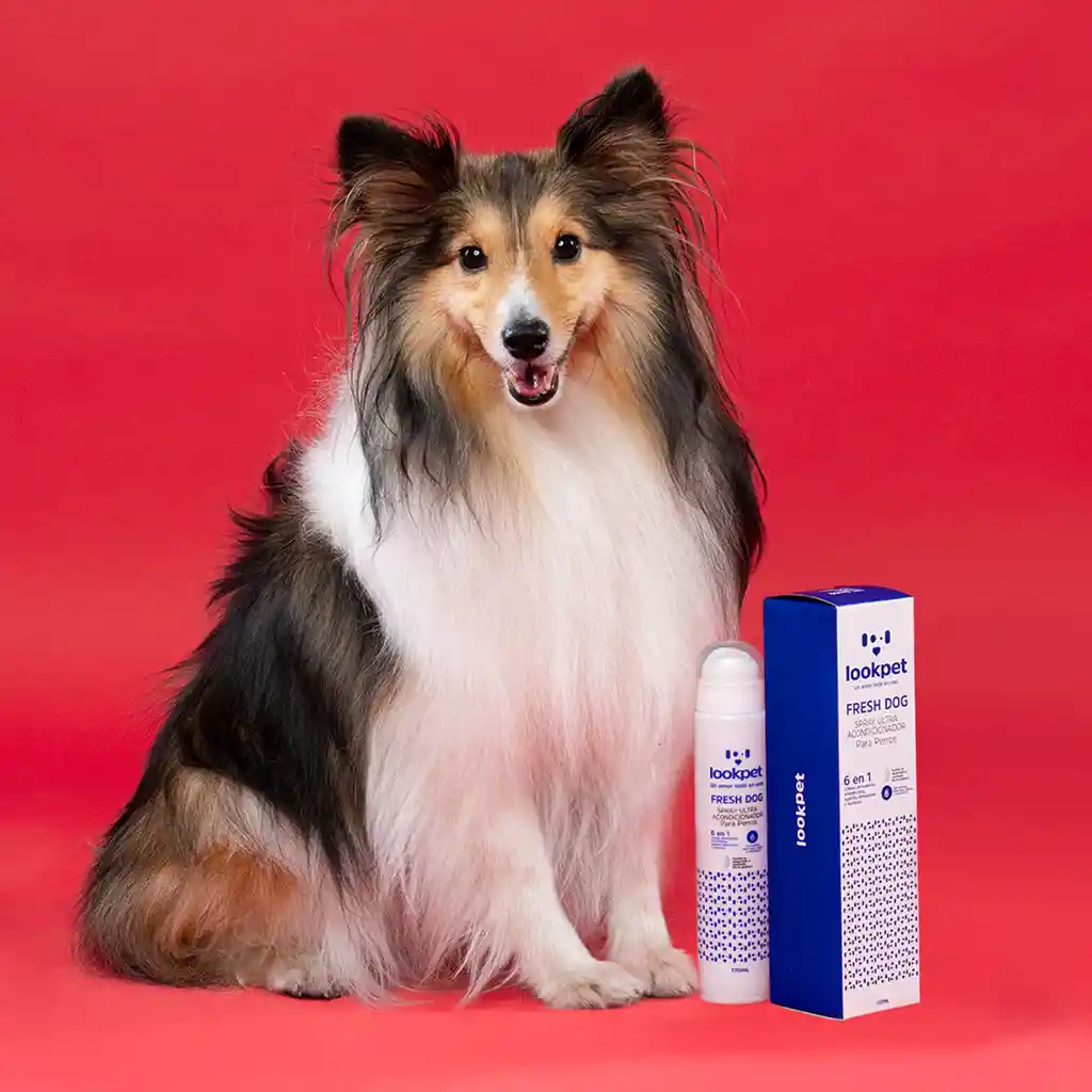 Lookpet Spray Ultra Acondicionador Fresh Dog Para Perro 6 En 1 - 120ml