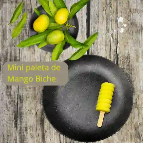 Mini Paleta Mango Biche