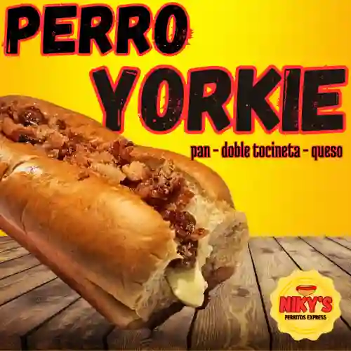 Perro Yorkie