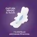 Toallas Higiénicas Femeninas Kotex Nocturna Ultraprotect 16 Und