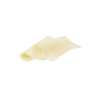 Porcion de Queso