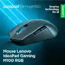 Lenovo Mouse Gaming M100 R Gb