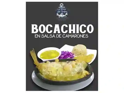 Bocachico Salsa Camarón
