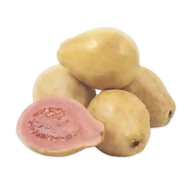 Makro Guayaba Pera