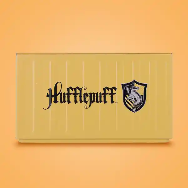 Organizador de Acero Grande Serie Harry Potter Amarillo Miniso