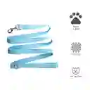 Miniso Correa Para Mascota Color Azul