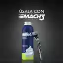 GILLETTE Foamy Sensitive Espuma de Afeitar Ideal para Hombres con Piel Sensible Afeitadas sin Irritación 179 mL