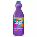 Quitamanchas Sin Cloro Clorox Ropa 4 en 1 de Color 930 mL
