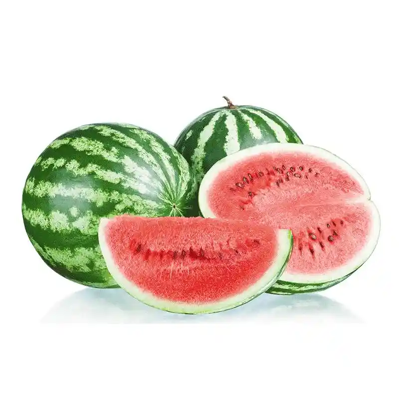 Sandia