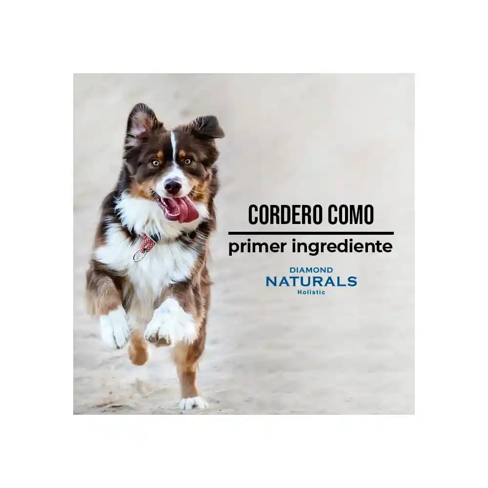 Diamond Naturals Alimento para Perro Adulto 