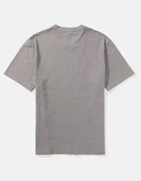 Camiseta Hombre Gris Talla X-Small American Eagle 01813758