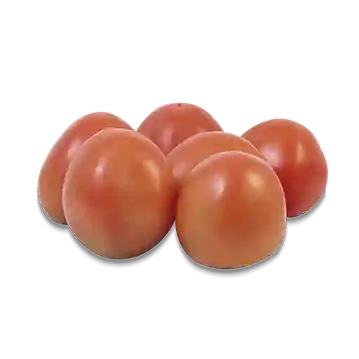 Tomate Chonto