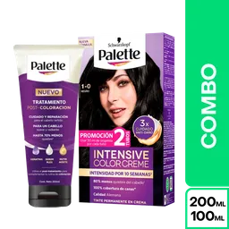 Combo Palette Color Creme 1-0 Negro + Tratamiento Post Color