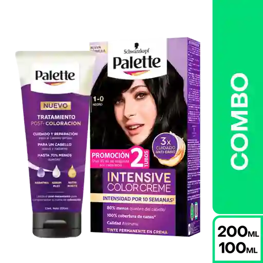Combo Palette Color Creme 1-0 Negro + Tratamiento Post Color