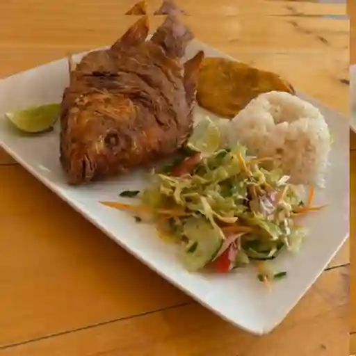 Tilapia frita